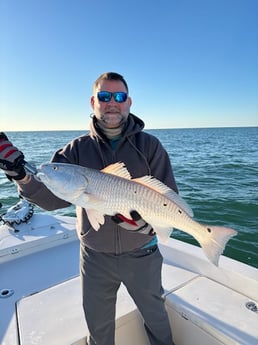 Fishing in Sarasota, Florida