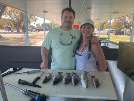 Mangrove Snapper, Speckled Trout Fishing in Miami, Florida