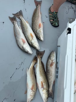 Fishing in Matagorda, Texas