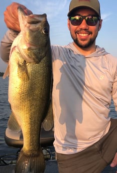 Largemouth Bass fishing in Lake Fork, Texas