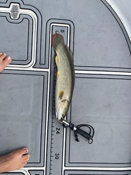 Fishing in Pembroke Pines, Florida