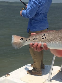 Redfish fishing in Rio Hondo, Texas