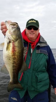 Largemouth Bass Fishing in Alba, Texas