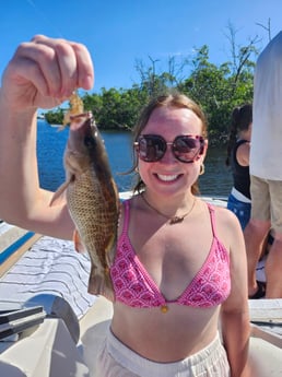 Fishing in Fort Myers Beach, Florida