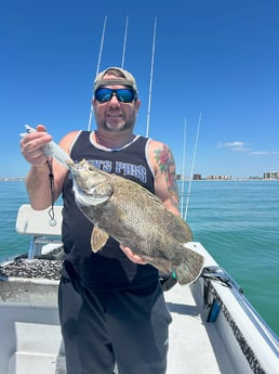 Fishing in Bay Pines, Florida