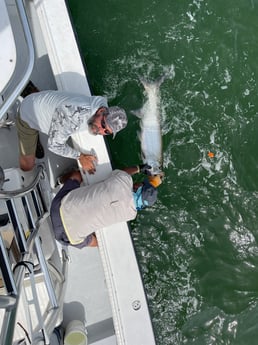 Tarpon fishing in Naples, Florida
