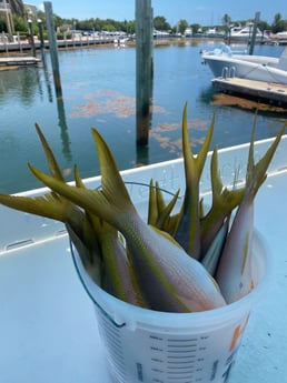 Fishing in Key West, Florida