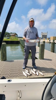 Speckled Trout Fishing in Gulf Shores, Alabama