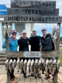 Black Drum Fishing in Port Aransas, Texas