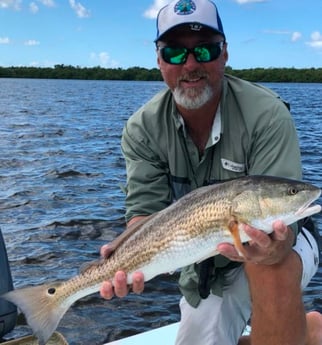 Fishing in Naples, Florida