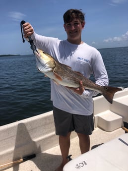 Redfish fishing in Cedar Key, Florida