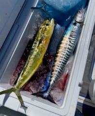 Fishing in Coconut Creek, Florida