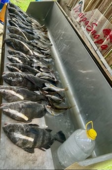 Fishing in Biloxi, Mississippi