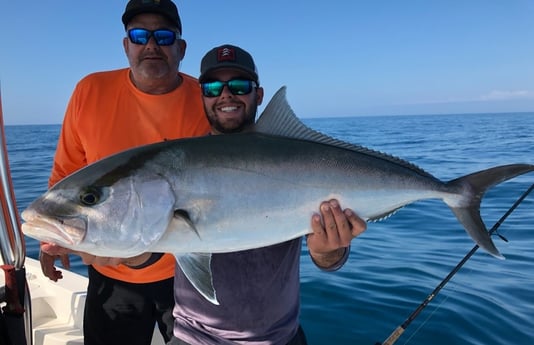 Amberjack Fishing in Holmes Beach, Florida