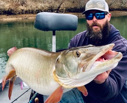 Muskie fishing in Knoxville, Tennessee