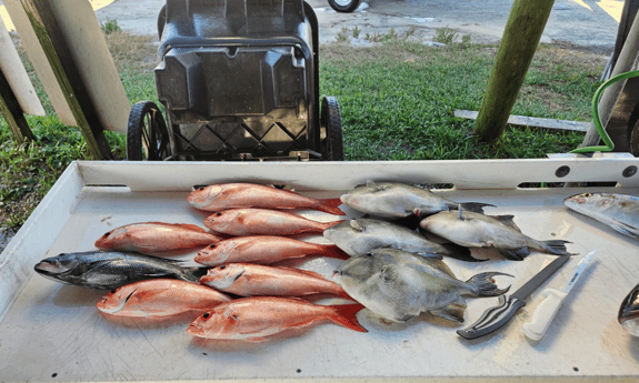 Fishing in Jacksonville, Florida