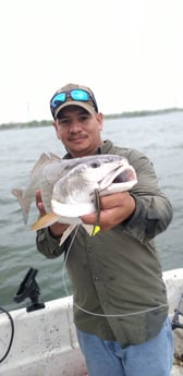 Redfish fishing in San Antonio, Texas
