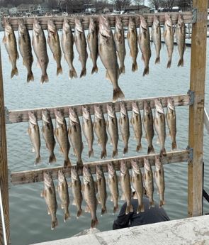 Fishing in Indianapolis, Indiana