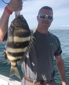 Sheepshead Fishing in Panama City Beach, Florida