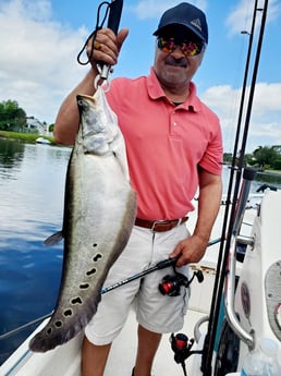Clown Knifefish Fishing in Rockport, Texas