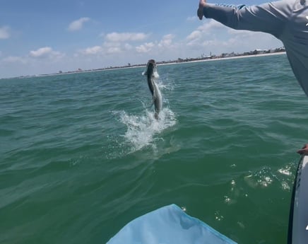 Fishing in Indian Rocks Beach, Florida