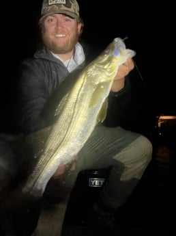 Fishing in New Smyrna Beach, Florida