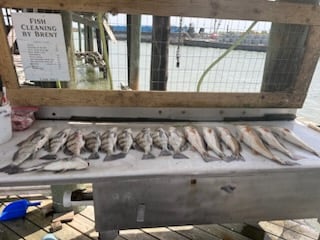 Fishing in Port O&#039;Connor, Texas