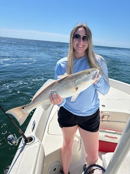 Fishing in Pensacola, Florida