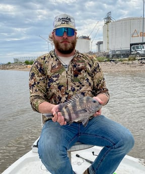 Sheepshead Fishing in Port Arthur, Texas