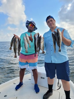 Speckled Trout / Spotted Seatrout fishing in New Orleans, Louisiana