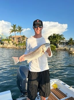 Fishing in Sarasota, Florida
