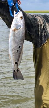 Fishing in Freeport, Texas