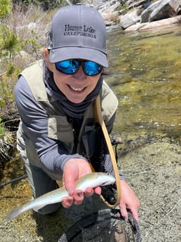 Rainbow Trout Fishing in