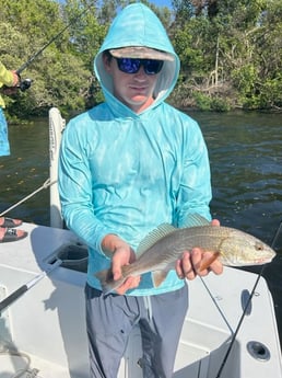 Fishing in Tampa, Florida