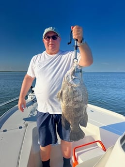 Tripletail Fishing in Buras, Louisiana