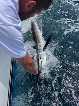 Blue Marlin Fishing in Montauk, New York
