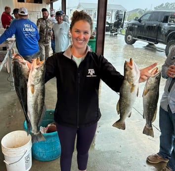 Speckled Trout / Spotted Seatrout Fishing in Golden Meadow, Louisiana