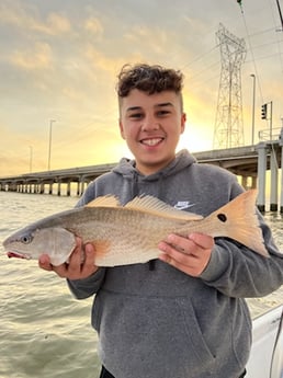 Fishing in New Orleans, Louisiana