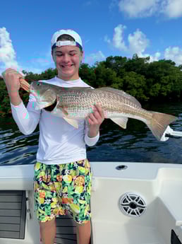 Redfish Fishing in Bradenton Beach, Florida