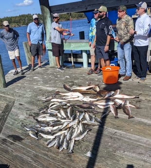 Redfish, Speckled Trout / Spotted Seatrout Fishing in Sulphur, Louisiana