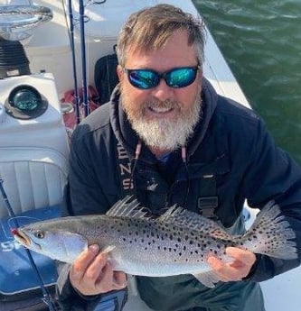 Speckled Trout / Spotted Seatrout Fishing in Trails End Road, Wilmington, N, North Carolina