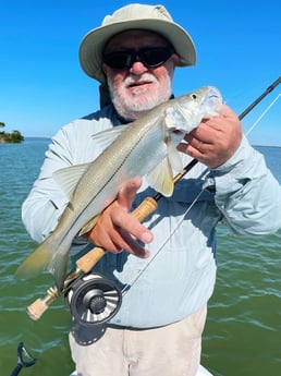 Snook Fishing in Tavernier, Florida