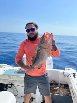 Red Grouper fishing in Key West, Florida
