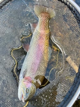 Fishing in Hume, California