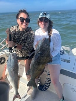 Black Drum Fishing in