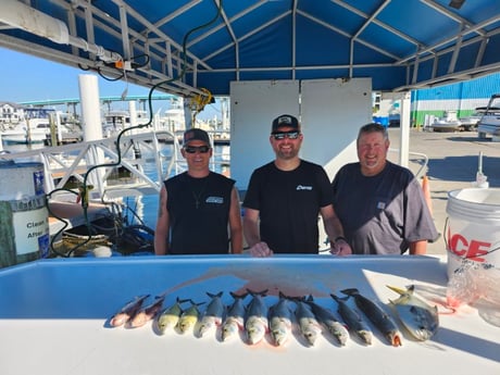 Fishing in Fort Myers Beach, Florida