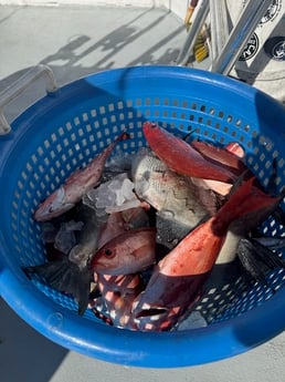 Fishing in Shalimar, Florida