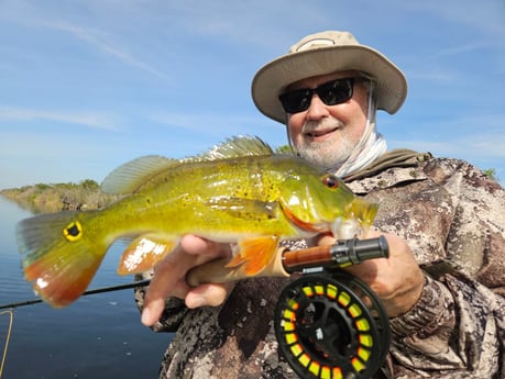 Fishing in Pembroke Pines, Florida