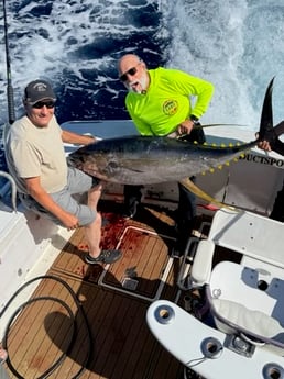 Fishing in Kailua-Kona, Hawaii