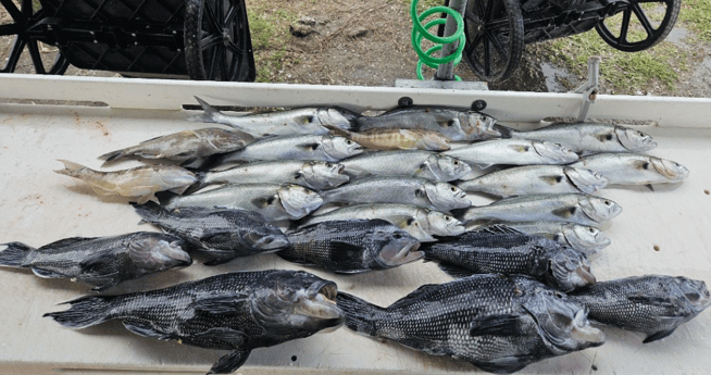 Fishing in Jacksonville, Florida